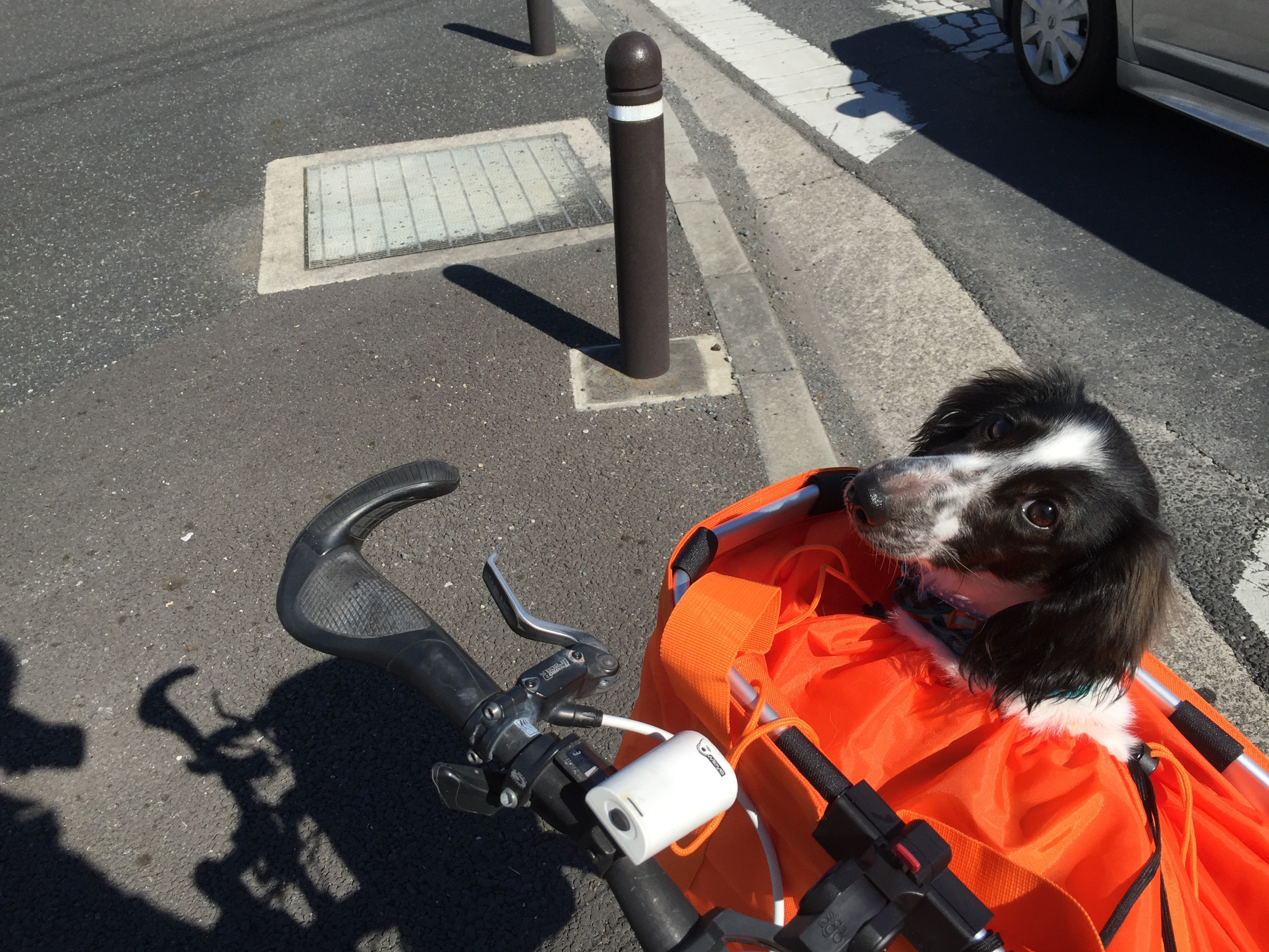 自転車でおでかけ