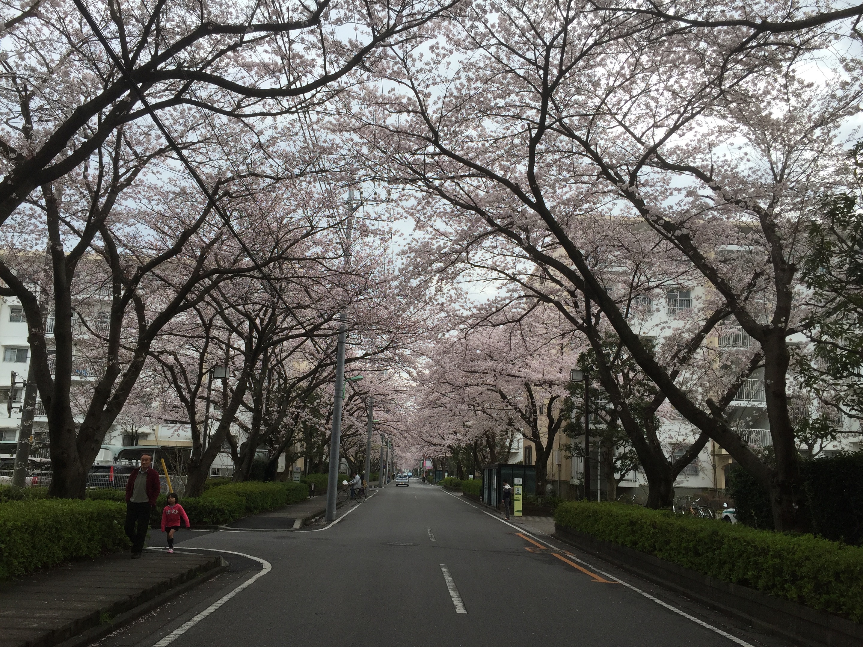 早稲田団地