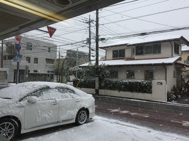 初雪2